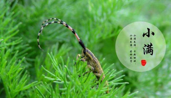 上?？婆d儀器