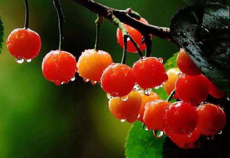 上?？婆d儀器