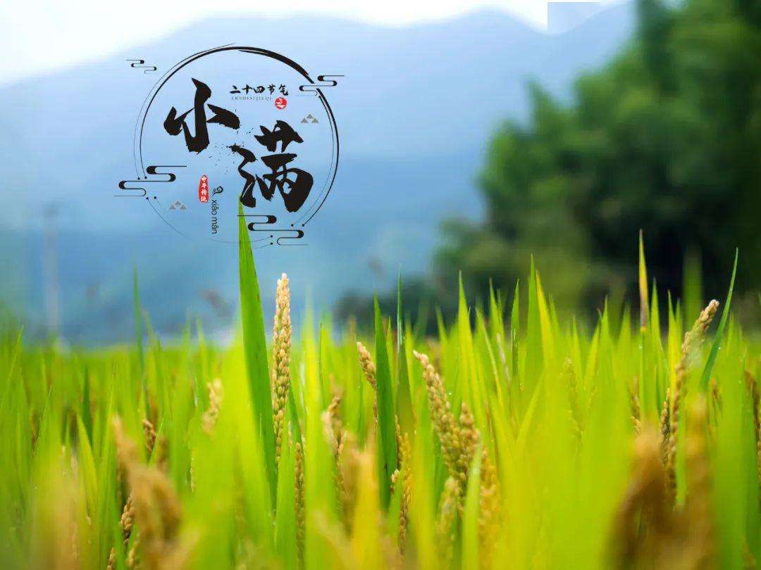 上?？婆d儀器