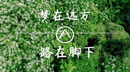 上?？婆d儀器